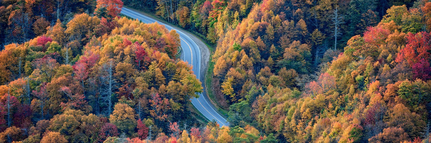 Winding road within colorful woods